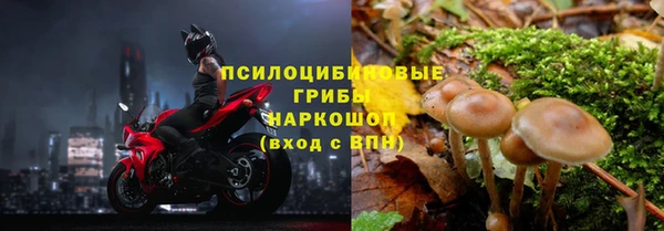 метадон Богданович